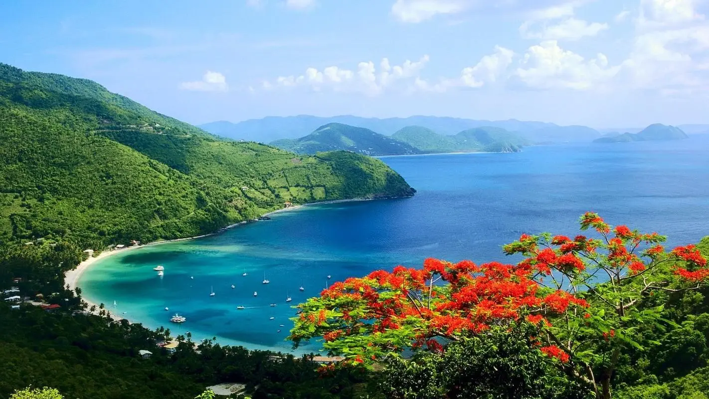 高效智能稳定性